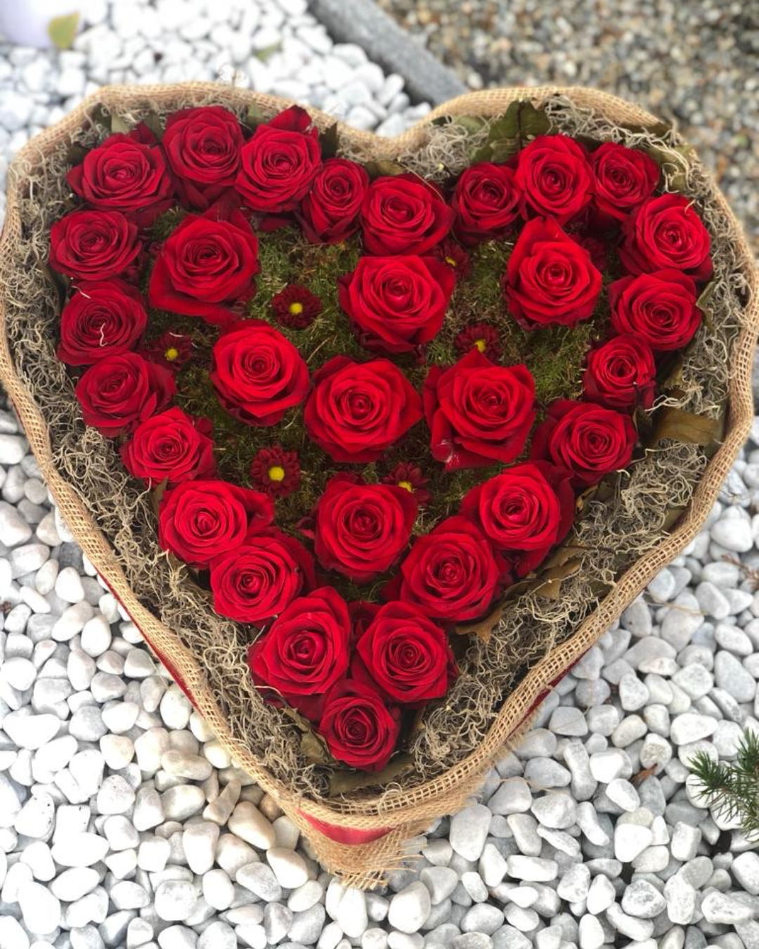 Cuore di consolazione