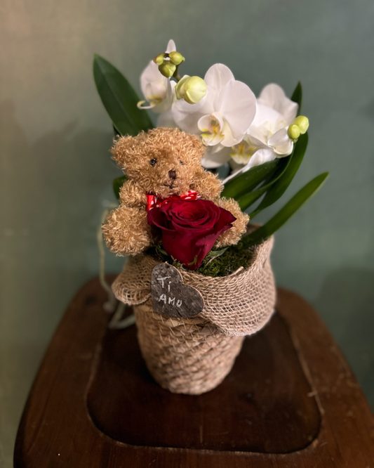 Piccola orchidea con orsetto e rosa